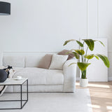 Green Artificial plant BANANE in a white pot next to a sofa by hjh OFFICE