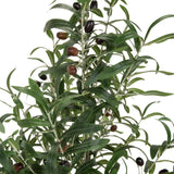 Leaves and dark olives of the artificial plant OLIVE by hjh OFFICE