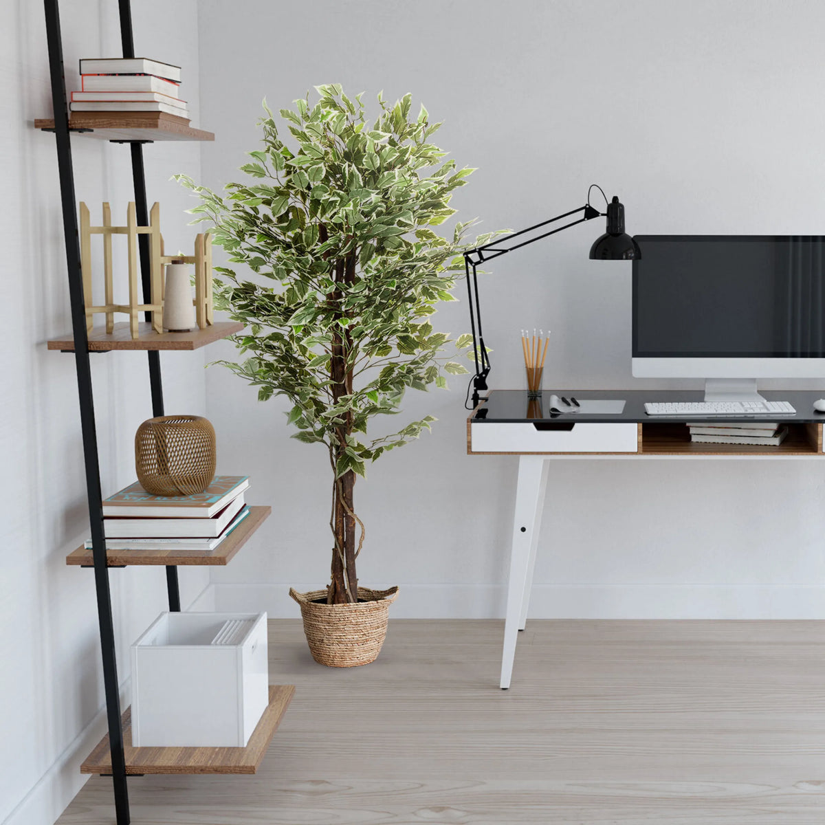 Artificial plant FICUS in green with a woven basket as a planter by hjh OFFICE