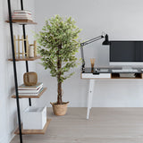 Artificial plant FICUS in green with a woven basket as a planter by hjh OFFICE