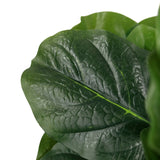 Green leaf with pronounced vein structure of the Artificial plant LYRATA by hjh OFFICE