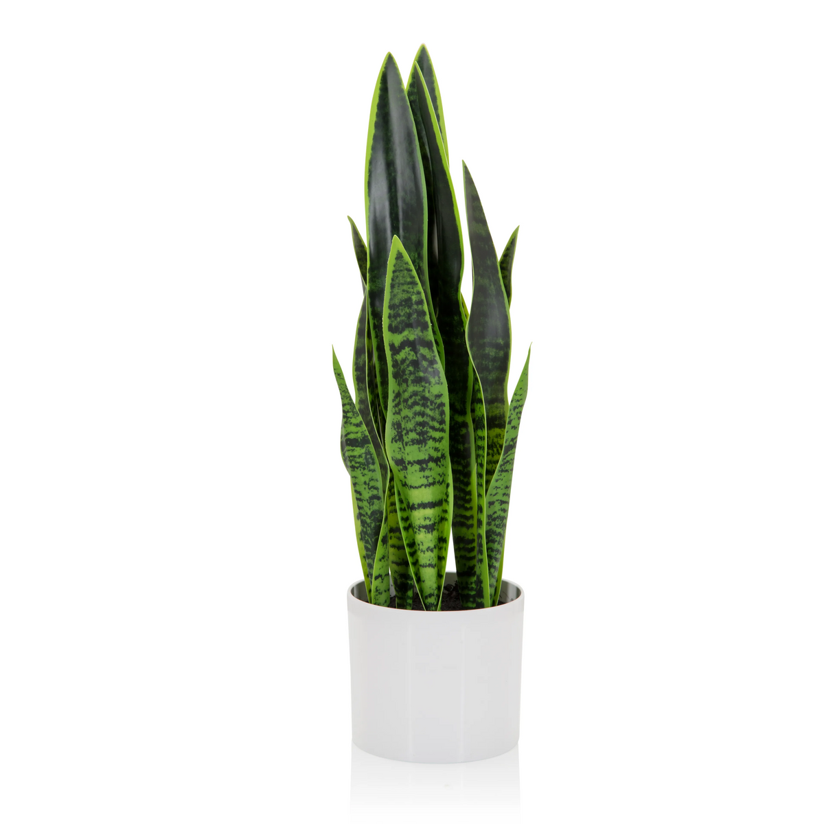 Green Artificial plant SANSEVIERIA in a white outer pot by hjh OFFICE – 360-degree view (front view 0°)
