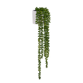 Artificial hanging plant Senecio Climb in green with a white outer pot by hjh OFFICE