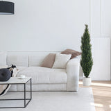 Green artificial plant CEDRUS in a white pot next to a white sofa by hjh OFFICE