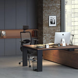 Luxury Executive Chair SENATOR PRO in black with mesh backrest and armrests by hjh OFFICE