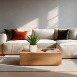 Artificial plant Agave in green with a white pot on a wooden table in front of a light-coloured sofa by hjh OFFICE