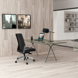 Black Professional Office Chair PROVIDER with armrests and castors at a desk by hjh OFFICE