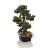 Green Artificial plant BONSAI in the shape of a bonsai in a black pot with pebbles by hjh OFFICE – 360-degree view (front view 0°)