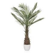 Grüne Kunstpflanze DRACAENA mit fächerartigen Palmblättern in einem weißen Topf von hjh OFFICE