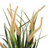 Beige-green grasses of the CORTADERIA I artificial plant with fluffy flower spikes by hjh OFFICE