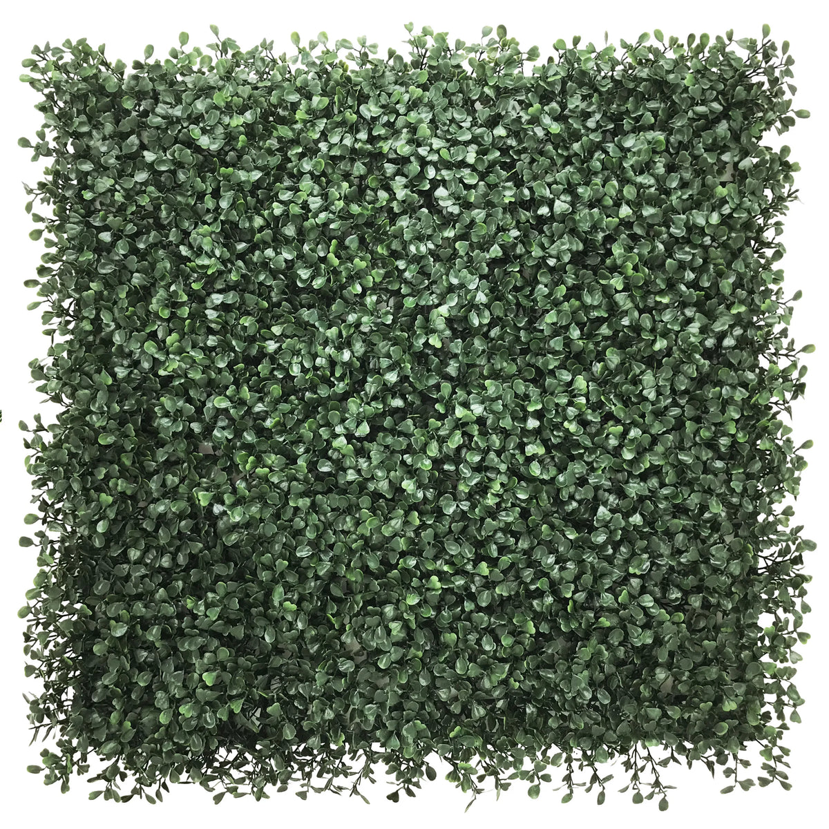 Grüne Pflanzenmatte LEAFLUXE 1 mit dichten, kleinen Blättern in quadratischer Form von hjh LIVING