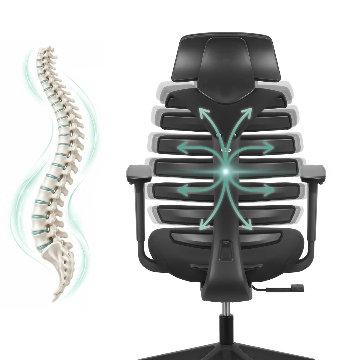 Backrest of the ERGO LINE ECO Professional Office Chair with a graphic representation of the spine by hjh OFFICE