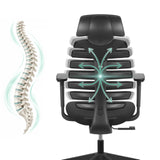 Backrest of the ERGO LINE ECO Professional Office Chair with a graphic representation of the spine by hjh OFFICE