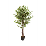 Green Artificial plant FICUS with braided stem in a black pot by hjh OFFICE – 360-degree view (front view 0°)