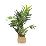 Green Artificial plant CHAMAEDOREA in a woven natural material pot by hjh OFFICE – 360-degree view (front view 0°)