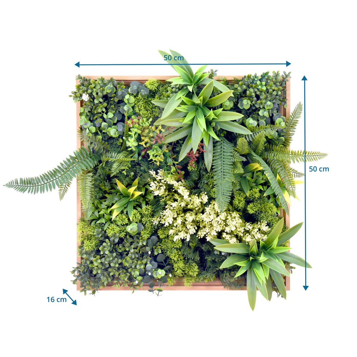 Dimensional drawing of the Plant mat LEAFLUXE WALL 1 with 50 × 50 cm and 16 cm depth by hjh LIVING
