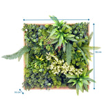 Dimensional drawing of the Plant mat LEAFLUXE WALL 1 with 50 × 50 cm and 16 cm depth by hjh LIVING