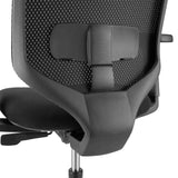 Lumbar support of the backrest of the Professional Office Chair Delvia in black by hjh OFFICE