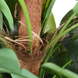 Trunk with coconut fibres and green leaves of the Artificial plant EPIPREMNUM by hjh OFFICE
