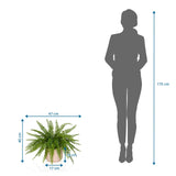 Dimensional drawing of the Artificial plant Proliferum with 47 x 40 cm next to a person silhouette by hjh OFFICE