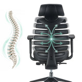 Backrest of the ERGO LINE II PRO Professional Office Chair with a schematic representation of the spine by hjh OFFICE