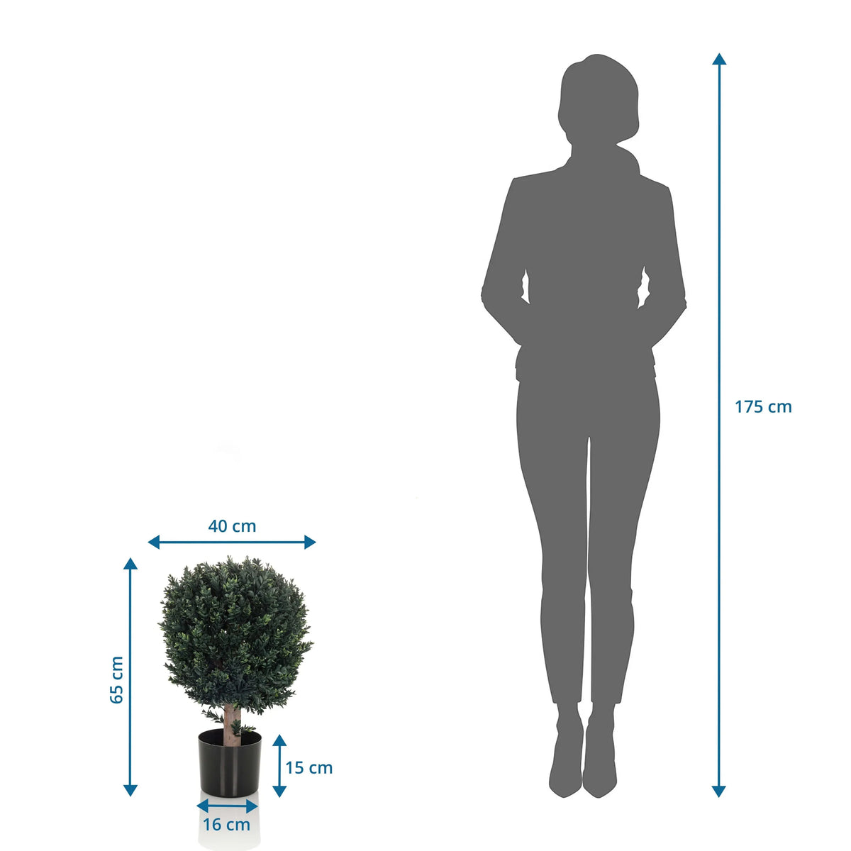 Dimensional view of the Artificial plant BUXUS with a height of 65 cm compared to a person by hjh OFFICE