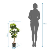 Dimensional view of the Artificial plant SCHEFFLERA with a height of 100 cm and width of 38 cm by hjh OFFICE
