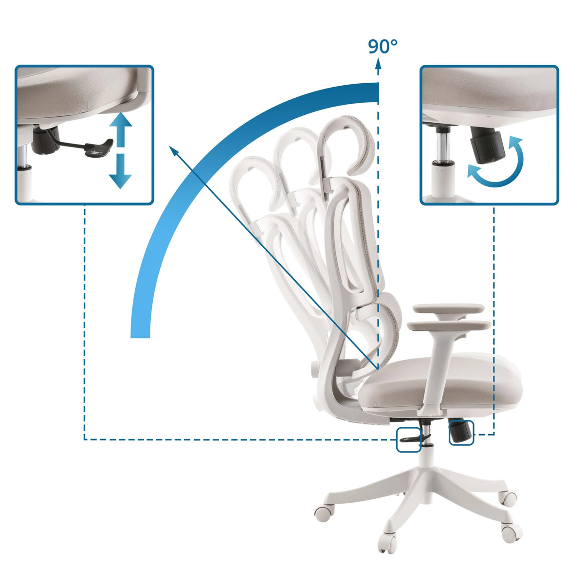 Height adjustment and 90 degree recline of the backrest of the Home Office Chair Ergomy Colore by MyBuero