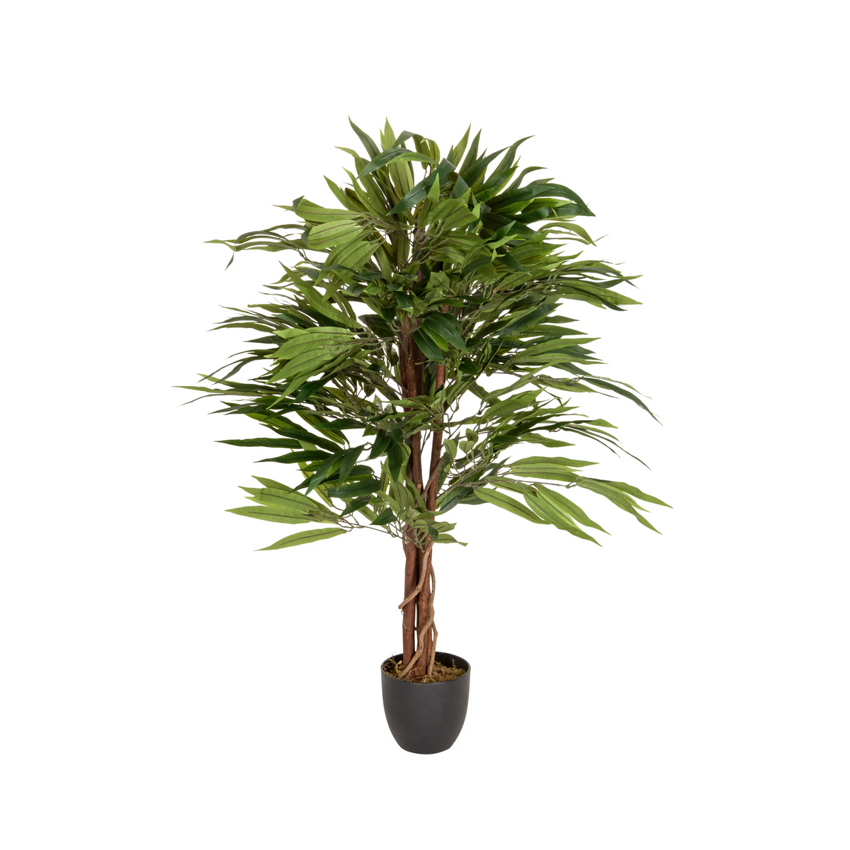 Green Artificial plant MANGO with braided stem in a black pot by hjh OFFICE – 360-degree view (front view 0°)