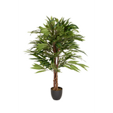 Green Artificial plant MANGO with braided stem in a black pot by hjh OFFICE – 360-degree view (front view 0°)