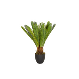 Green Artificial plant CYCAS in a black plant pot by hjh OFFICE – 360-degree view (front view 0°)