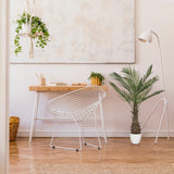 Green Artificial plant DRACAENA in a white pot next to a desk by hjh OFFICE