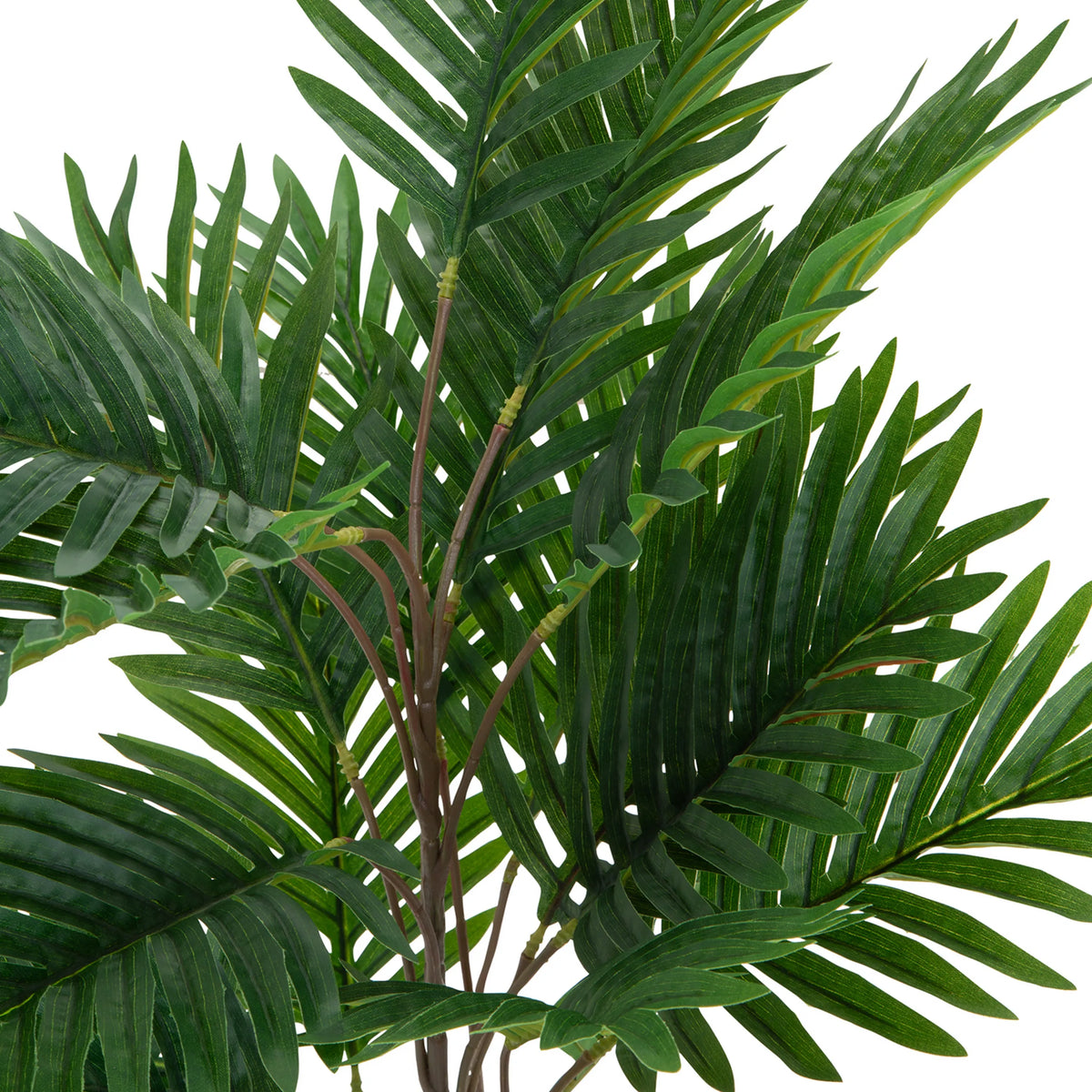 Green fronds of the artificial plant ARECA by hjh OFFICE