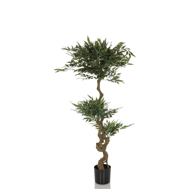 Green Artificial plant ACACIA with a curved brown stem in a black pot by hjh OFFICE