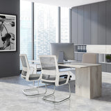 Two grey VISITER W cantilever chairs with mesh backs and chrome sled bases by hjh OFFICE