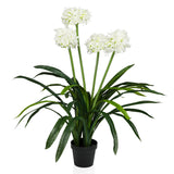 Artificial plant AGAPANTHUS with white blossoms, green leaves and a black pot by hjh OFFICE