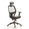 Professional Office ChAIR-PORT in black with mesh back, leather seat and headrest by hjh OFFICE