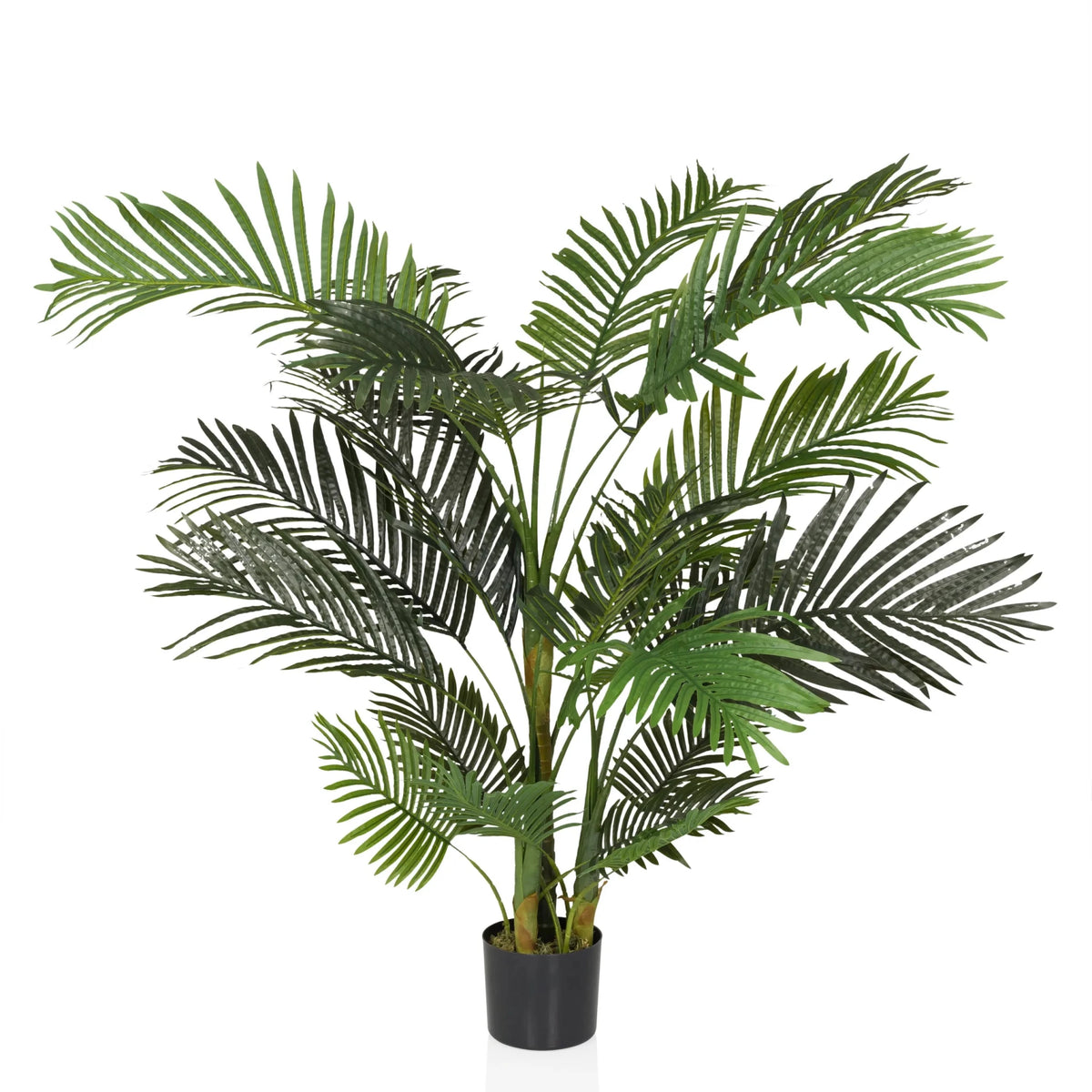 Green Artificial plant ARECA II with palm-like leaves in a black pot by hjh OFFICE