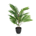 Artificial plant ARECA with green palm leaves in a black pot by hjh OFFICE