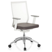 Professional Office Chair ASPEN WHITE in grey and white with mesh back and glossy base by hjh OFFICE