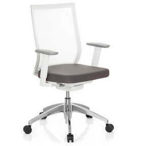 Professional Office Chair ASPEN WHITE in grey and white with mesh back and glossy base by hjh OFFICE