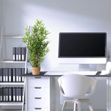 Artificial plant MINI BAMBUS in green with a woven basket pot by hjh OFFICE