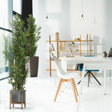 Green Artificial plant BAMBUS in a grey pot with a wooden stand by hjh OFFICE
