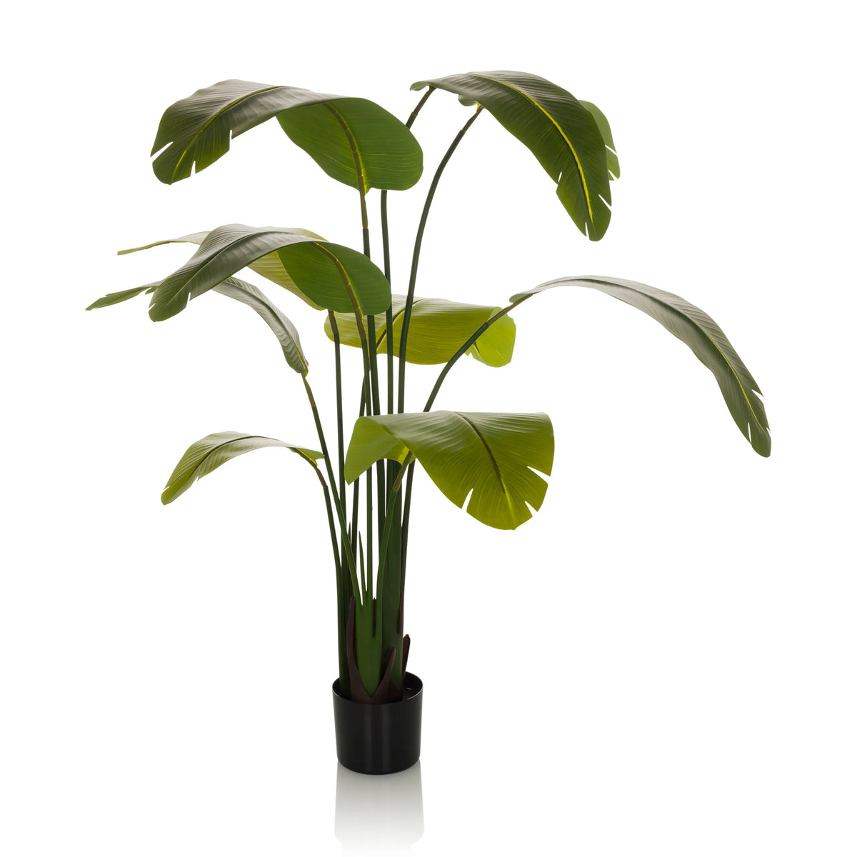 Green Artificial plant BANANE with large leaves in a black pot by hjh OFFICE – 360-degree view (front view 0°)