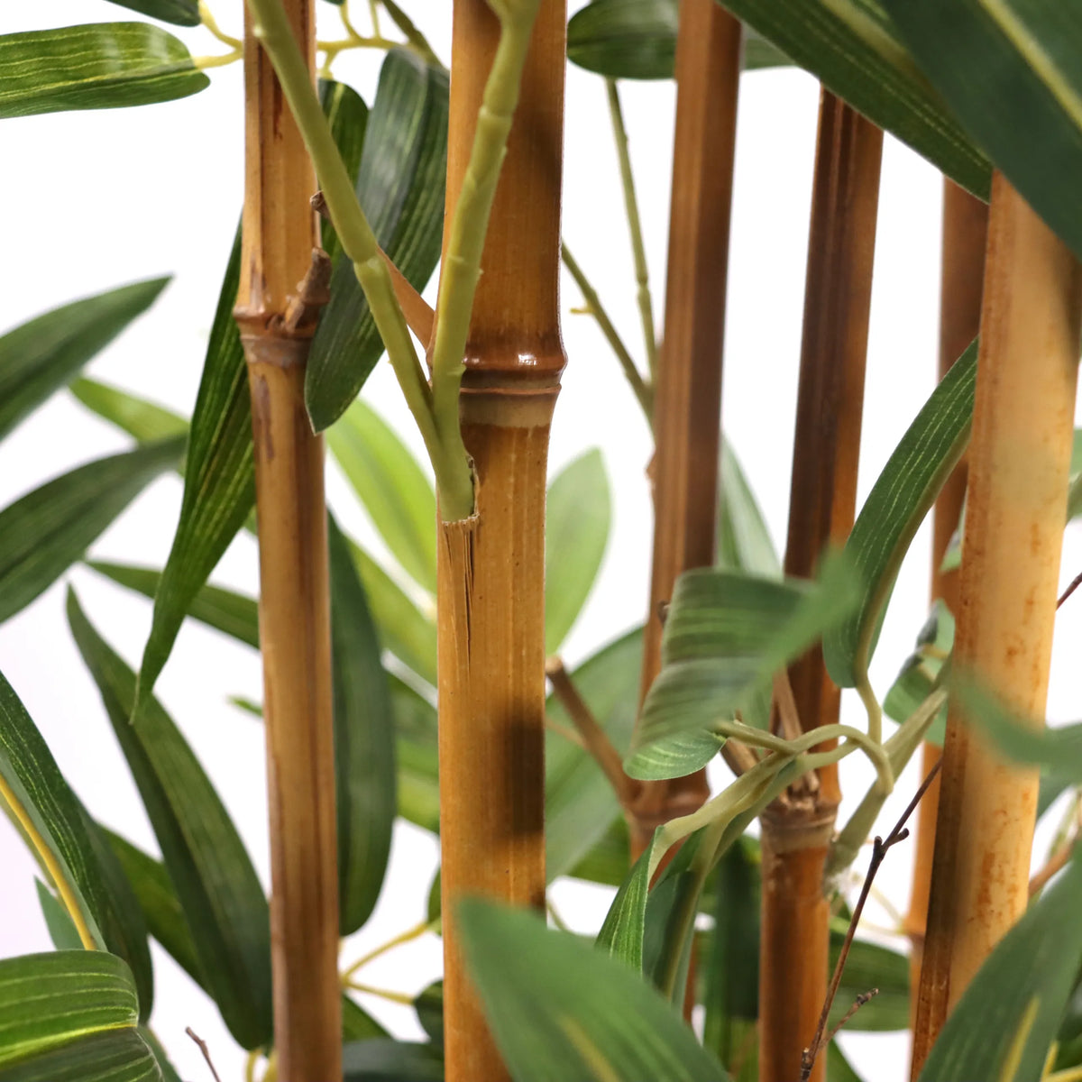 Stems and green leaves of the artificial plant BAMBUS II by hjh OFFICE