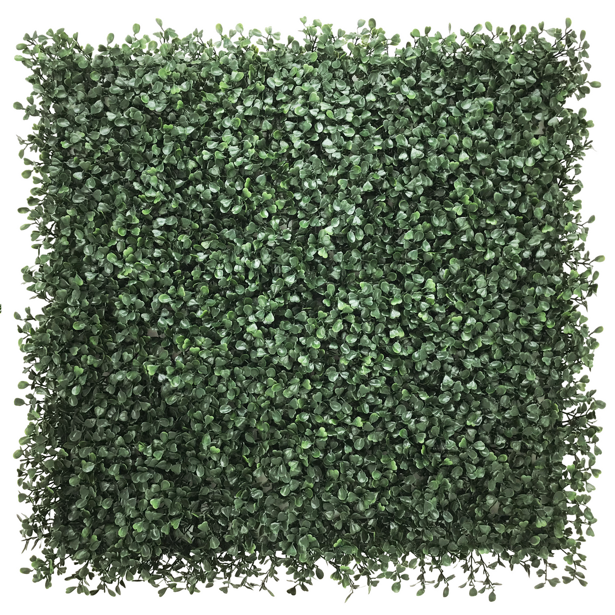 LEAFLUXE 1 - Plant mat 