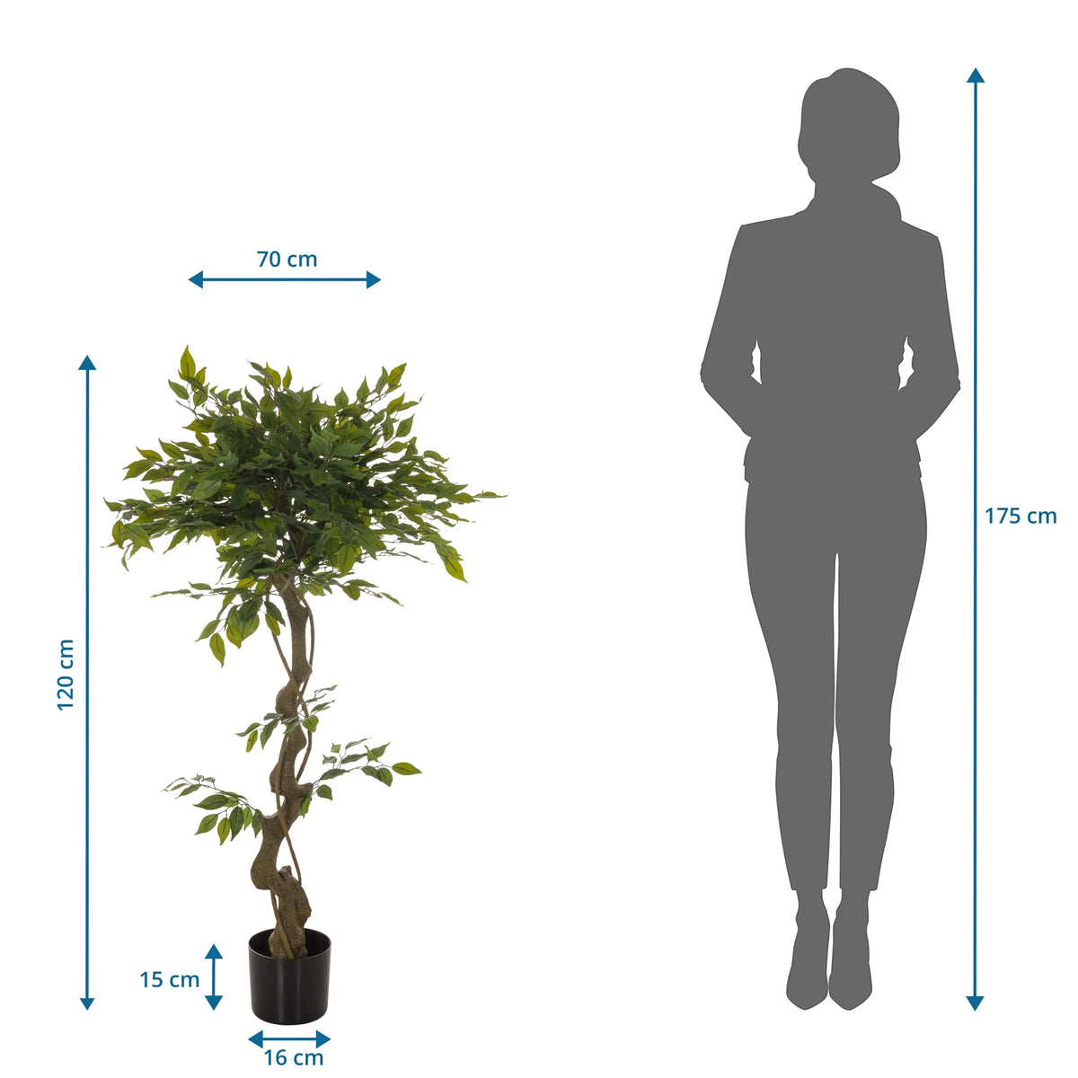Maßansicht der Kunstpflanze FICUS I mit einer Höhe von 120 cm und einer Breite von 70 cm von hjh OFFICE