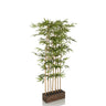 Green Artificial plant BAMBUS I in the shape of a bamboo with a dark brown planter by hjh OFFICE