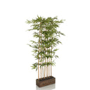 Green Artificial plant BAMBUS I in the shape of a bamboo with a dark brown planter by hjh OFFICE