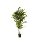 Artificial plant BAMBUS II in green with bamboo-like stems and a black pot by hjh OFFICE